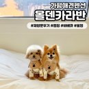 달고펜션 | [올덴카라반] 독채 가평애견펜션 강아지 동반 캠핑 재방문 후기!