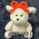 케이스튜디오 이미지
