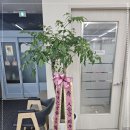 사랑으로노인복지센터 이미지