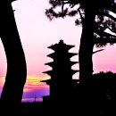 왕궁리유적 이미지