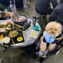 예산시장 맛집 총정리 (애견동반, 주차, 음식, 먹거리, 예산사과)