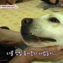 호야 농장 이미지