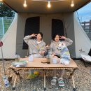 퀸마트주 | 의성애견캠핑장::의성펫월드 오토캠핑장::댕댕이들 세상에서 캠핑~!