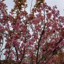 이목안포로 이미지