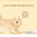 같은마음 동물병원 이미지