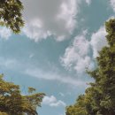 스마트농원 이미지