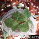 우수식당 이미지