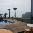 주식회사 제주도여행 이미지