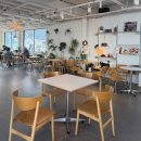 더가드너 | 의왕 브런치카페 추천 분위기 좋은 카페 더가드너 솔직 방문 후기