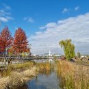 방화대교 남단 게이트볼장 화장실 | 관광지 목록 - 강서습지생태공원, 양천향교, 방화대교, 구암공원, 서울 양천고성지, 약사사(서울...