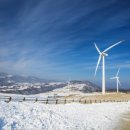 카나이스 이미지