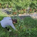 이신농장 이미지