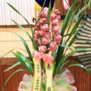 원곡초등학교 이미지