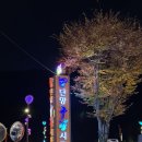 오성통닭 | 단양닭강정치킨 추억의 맛 단양구경시장맛집 오성통닭