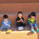 홍남초등학교 이미지