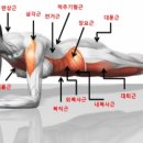 핑크덤벨 네이버블로그