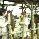 광현목장 이미지