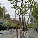 용신농장 이미지