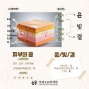 육층한의원 네이버블로그