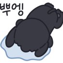 DH필름 이미지