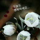 최저임금 받지만 '그럭저럭' 괜찮다 이미지