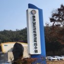 충청남도 교육연수원 | 단과일 충남 교육연수원 컵과일 간식 단체 배달 후기