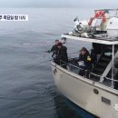 도시어부 이미지