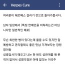 헤르페스 카페 눈팅하는데 좀 어이없다 이미지