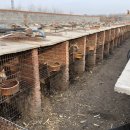 정형농장 이미지