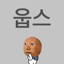 콩깍지호스텔 | 20231124 &lt;LESON WOSHI YOUTH HOSTEL Concert with band LeFleur&gt; 공연후기 : 말 진짜 많음