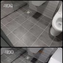 오성그린 이미지