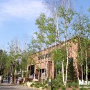 힐링블럭 이미지