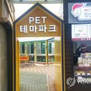 도그,위브 이미지