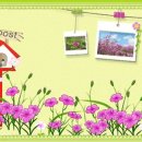 초록정원 이미지