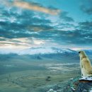 표선동물병원 이미지