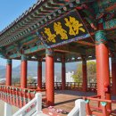 수계정 티스토리