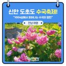 유구색동수국협동조합 | 🌸2026 전국 수국축제 총정리, 울산 장생포 수국축제 🌸