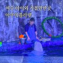 메디칼포유 | 여수 아쿠아플라넷 벨루가쇼 인어쇼 푸드코트 후기