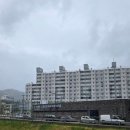 JS키즈스윔 | [모이끌림] 청주브라질리언왁싱후기내가 느낀 슈가링과 하드왁싱의 차이점