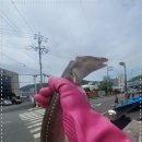 신진호 수산