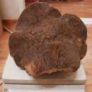 강원도 횡성군 횡성읍 읍상서로 이미지