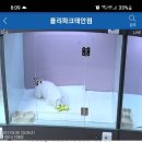 폴리파크태안점 이미지