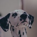 계양SKY동물메디컬센터 이미지