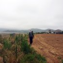 원산마을회관(경로당) 이미지