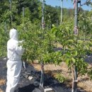 무주농업기술센터 이미지