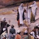 동편목장 이미지