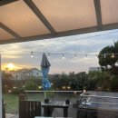 제주코기네 이미지