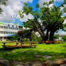 자기주도학습센터 이미지