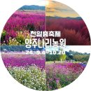 버들농원 | [가을꽃축제추천]양주나리농원 천만송이 천일홍축제 다녀온 후기 (나리농원개장모든안내)