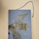 한강 지음ㅣ도파민에 쩔어진 사람이 보는 노벨문학상 수상자의 대표작ㅣ독서후기ㅣ주관적 서평ㅣ